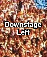 Downstage Left
