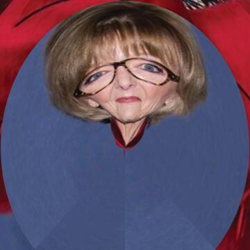 television, December 12